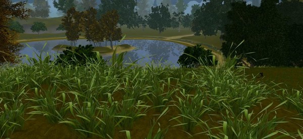 Скриншот из Paradise Lost