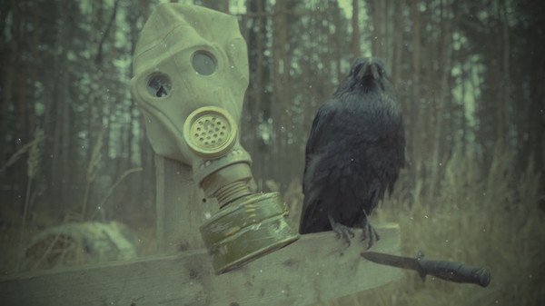 Role Player: Full Immersion game for Linux 1