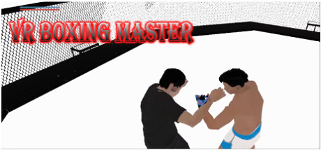 VR BOXING MASTER Cover Image