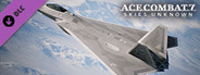ACE COMBAT™7: SKIES UNKNOWN - FB-22 Strike Raptor Set