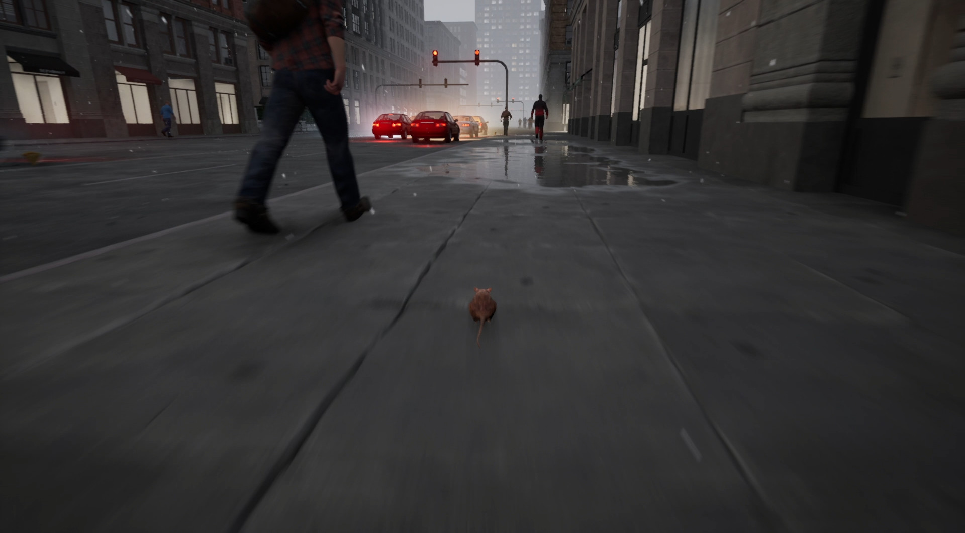 New York Rat Simulator #3