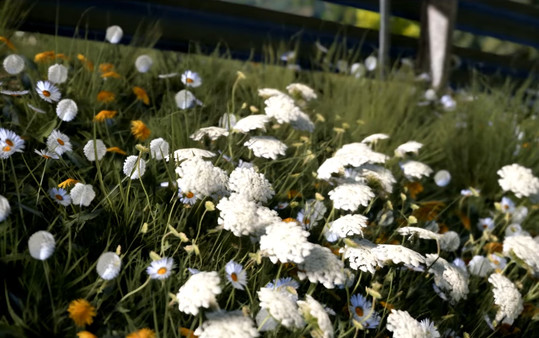 Скриншот из Why It's Empty Here: The Game