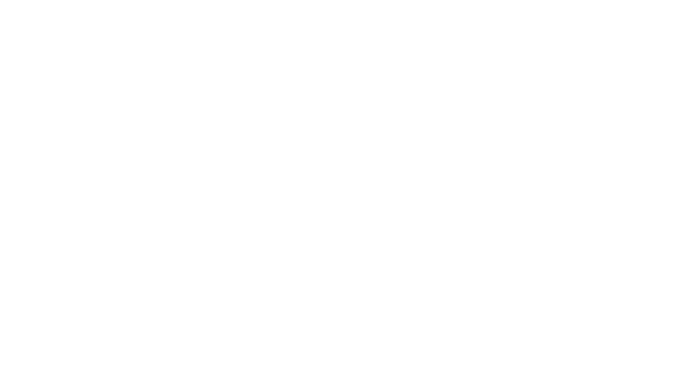 A Shiba Story