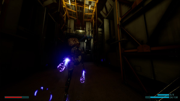 Höll Space 5D6for windows and Linux 1