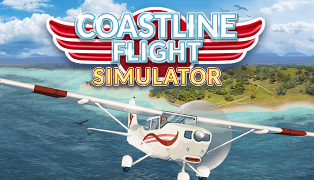 flight simulator