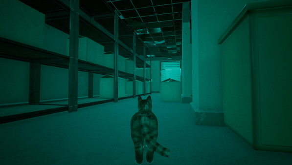 Ahri and Bear game for Linux 1