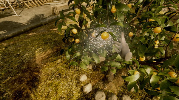 Once Upon a Seafor windows and Linux 1