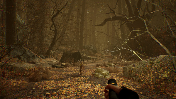 скриншот Blair Witch VR 4