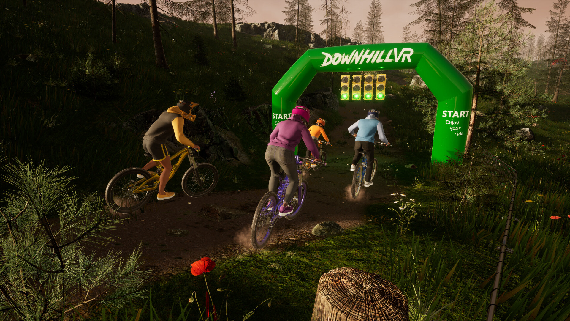 DownhillVR #2