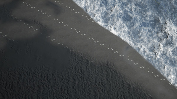 Скриншот из Iceland South Coast