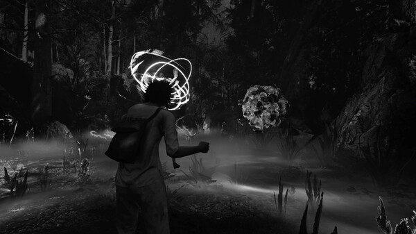 The Chantfor windows and Linux 1