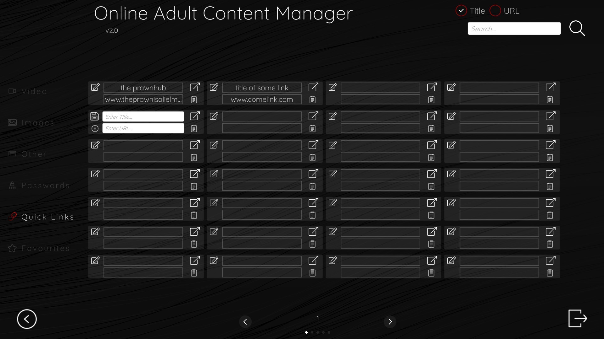 Online Adult Content Manager #4