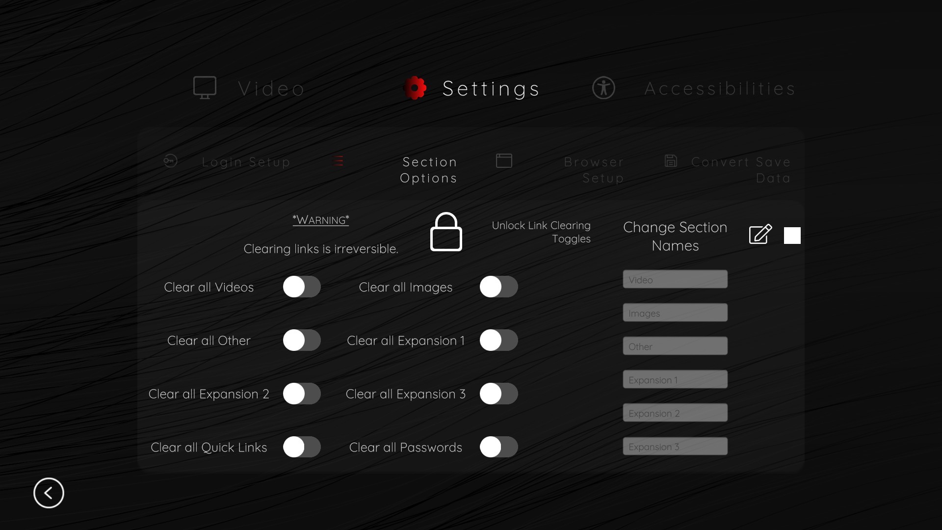 Online Adult Content Manager #19