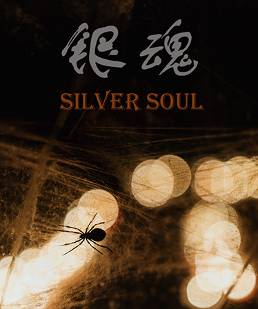 银魂：Silver Soul