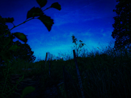 Reconnectfor windows and Linux 1