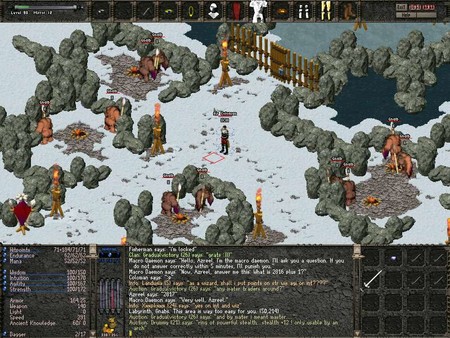 Astonia Resurgencefor windows and Linux 1