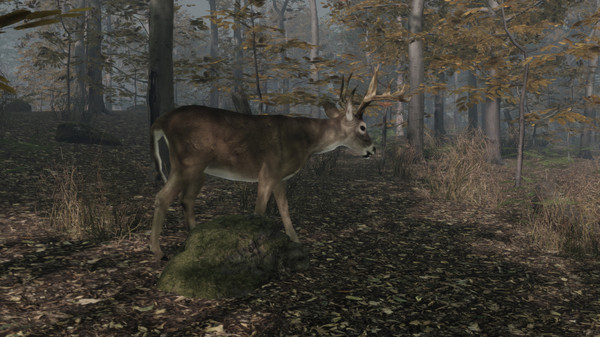 Скриншот из Pro Deer Hunting 2