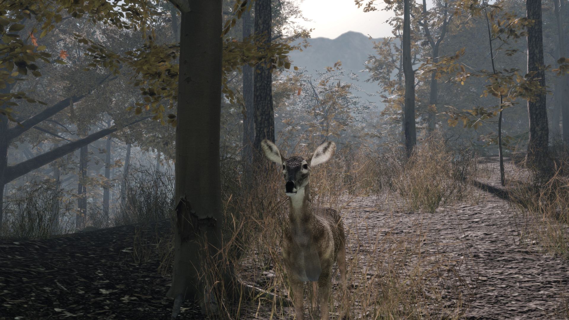 Pro Deer Hunting 2 Resimleri 
