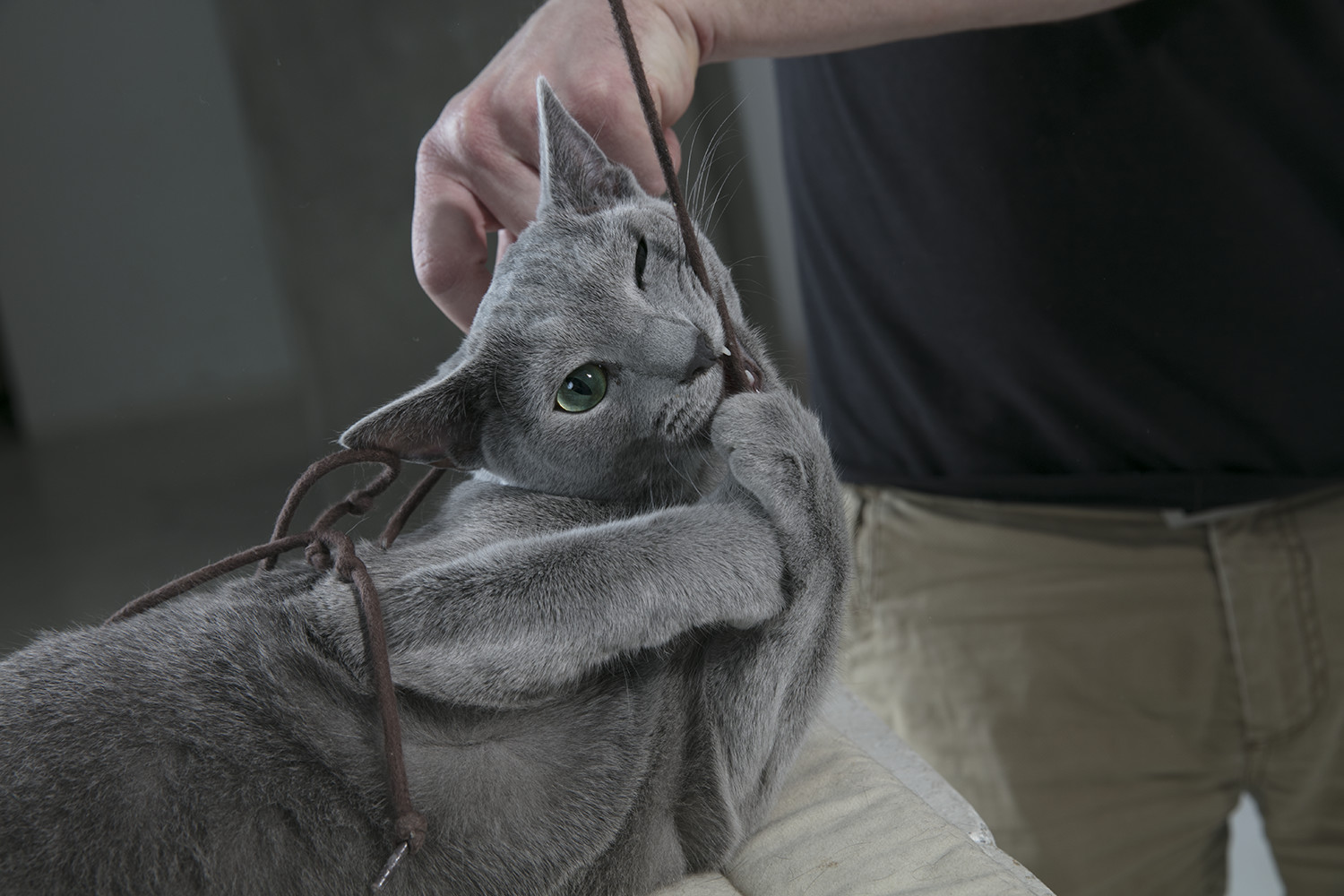 Behind the Art and Magic of Chicken Police #3