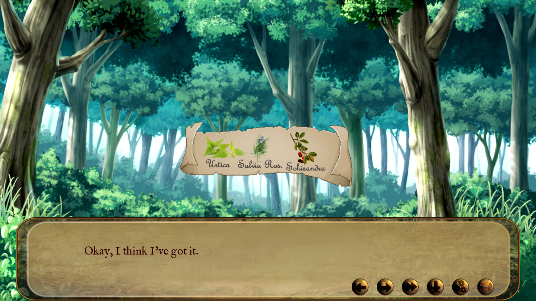 Deep in the Forest Demo #5