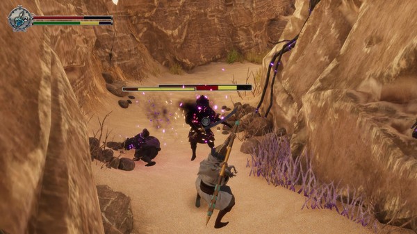 Metamorphosfor windows and Linux 1