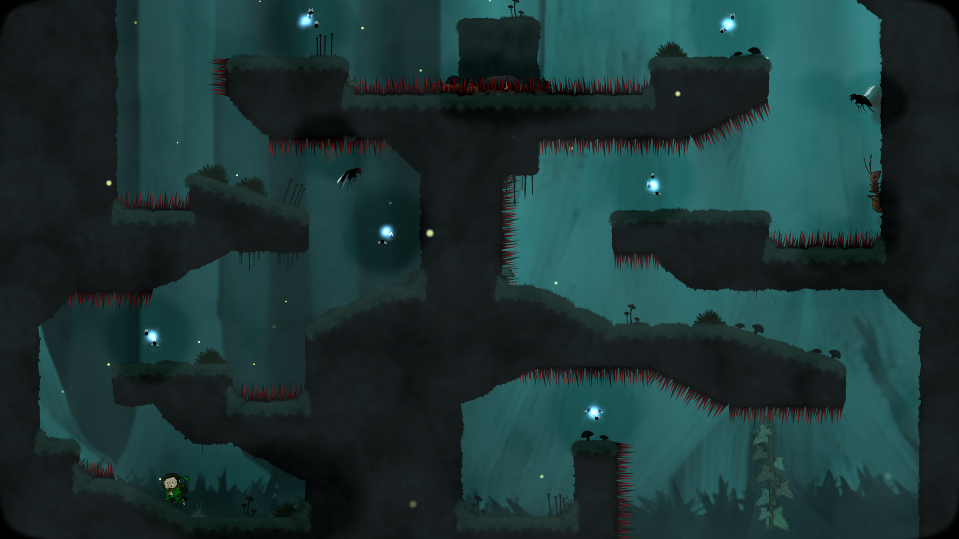 Looking for Imago #5