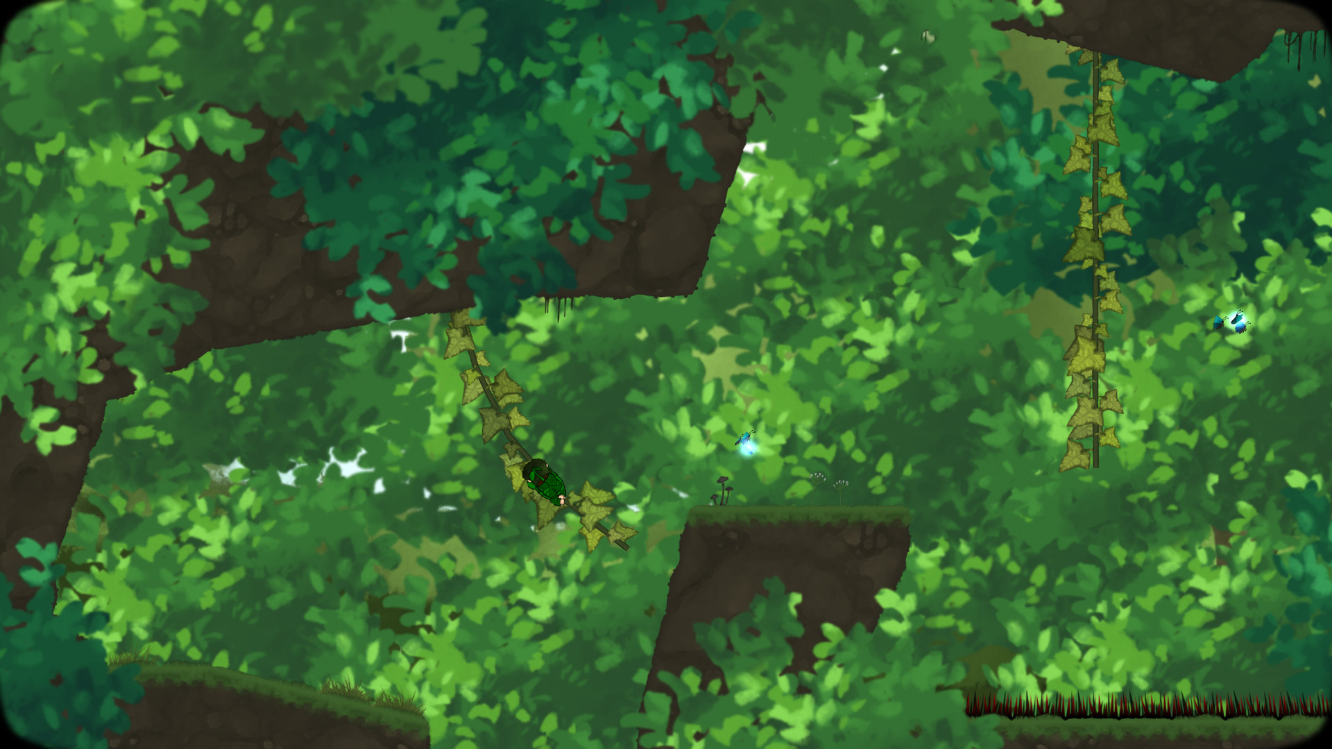 Looking for Imago #4