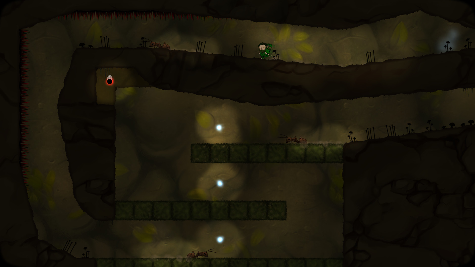 Looking for Imago #6