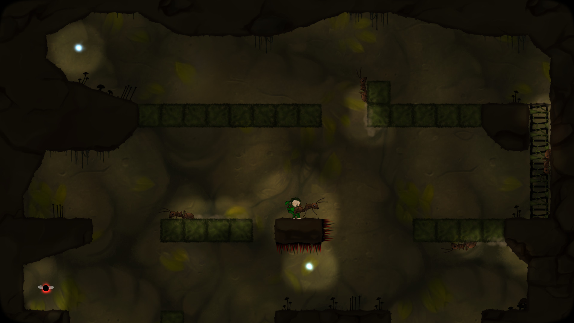 Looking for Imago #9