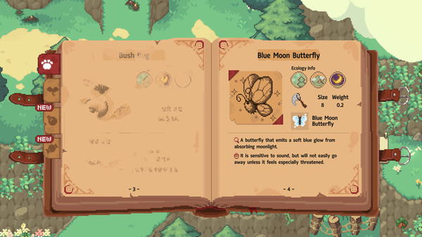 Screenshot of Little Witch in the Woods