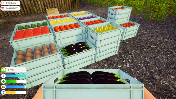 скриншот Farmer Life Simulator 3