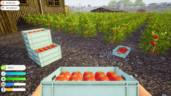 скриншот Farmer Life Simulator 0
