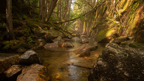 Get Lost In Nature With Luke game for windows Pc 1