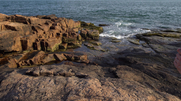 Get Lost In Nature With Luke game for Linux 1