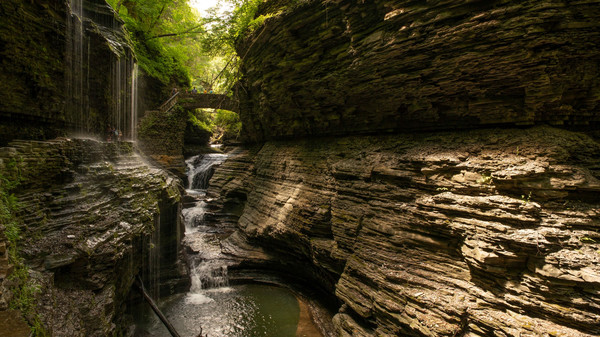 Get Lost In Nature With Lukefor windows and Linux 1