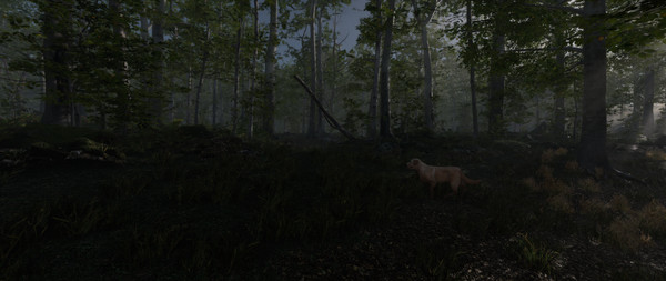 Скриншот из Stay Lit, Find Radio