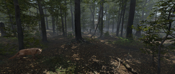 Скриншот из Stay Lit, Find Radio