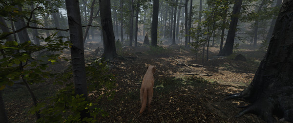 Скриншот из Stay Lit, Find Radio