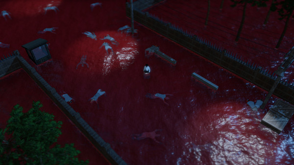 Wonhon Beginningfor windows and Linux 1