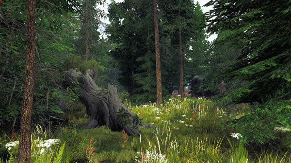 Undergrowth: VR Maze game for windows Pc 1