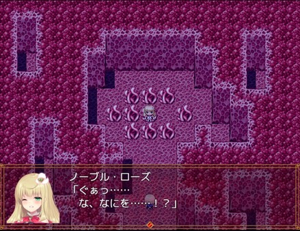 Скриншот из Magical girl Noble Rose