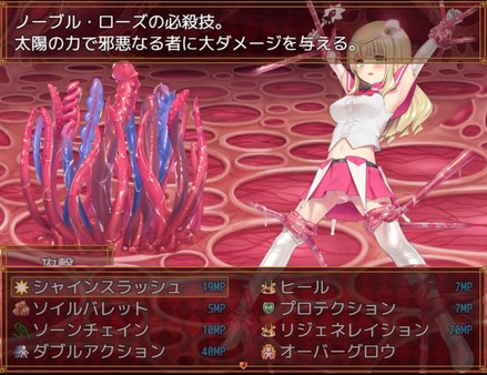 Скриншот из Magical girl Noble Rose