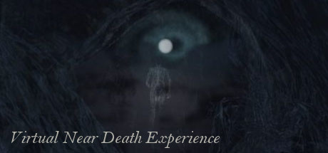 Virtual Near Death Experience Cover Image