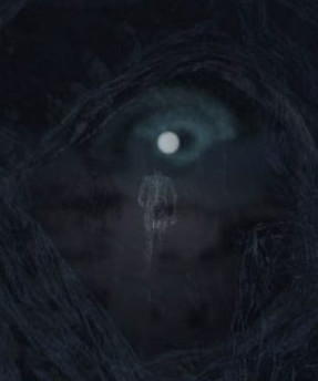 Virtual Near Death Experience #6