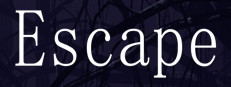 Escape 게임 이미지