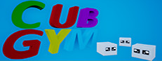 Cub Gym