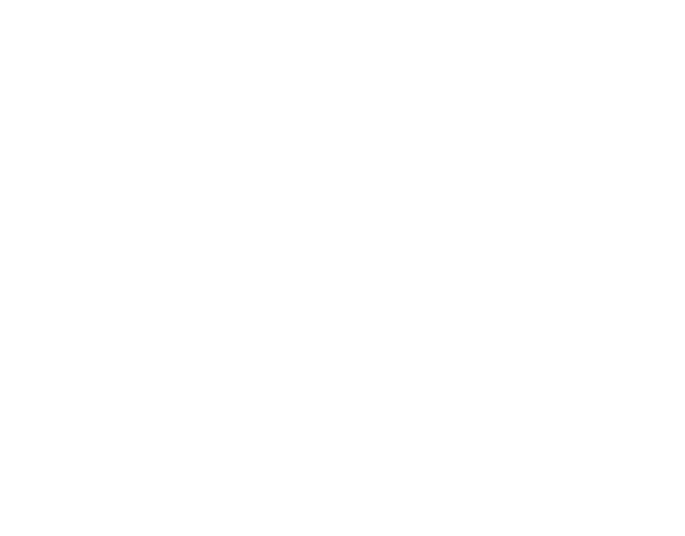 key_features.png