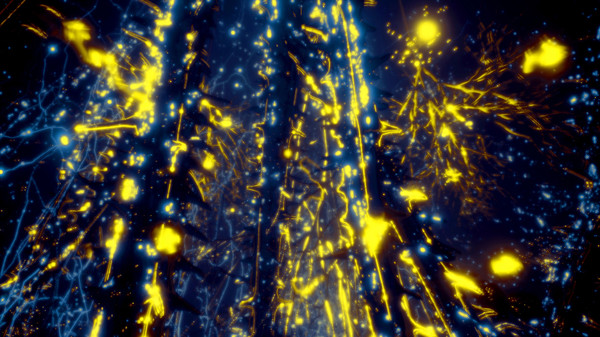 Скриншот из Secrets Of Soil