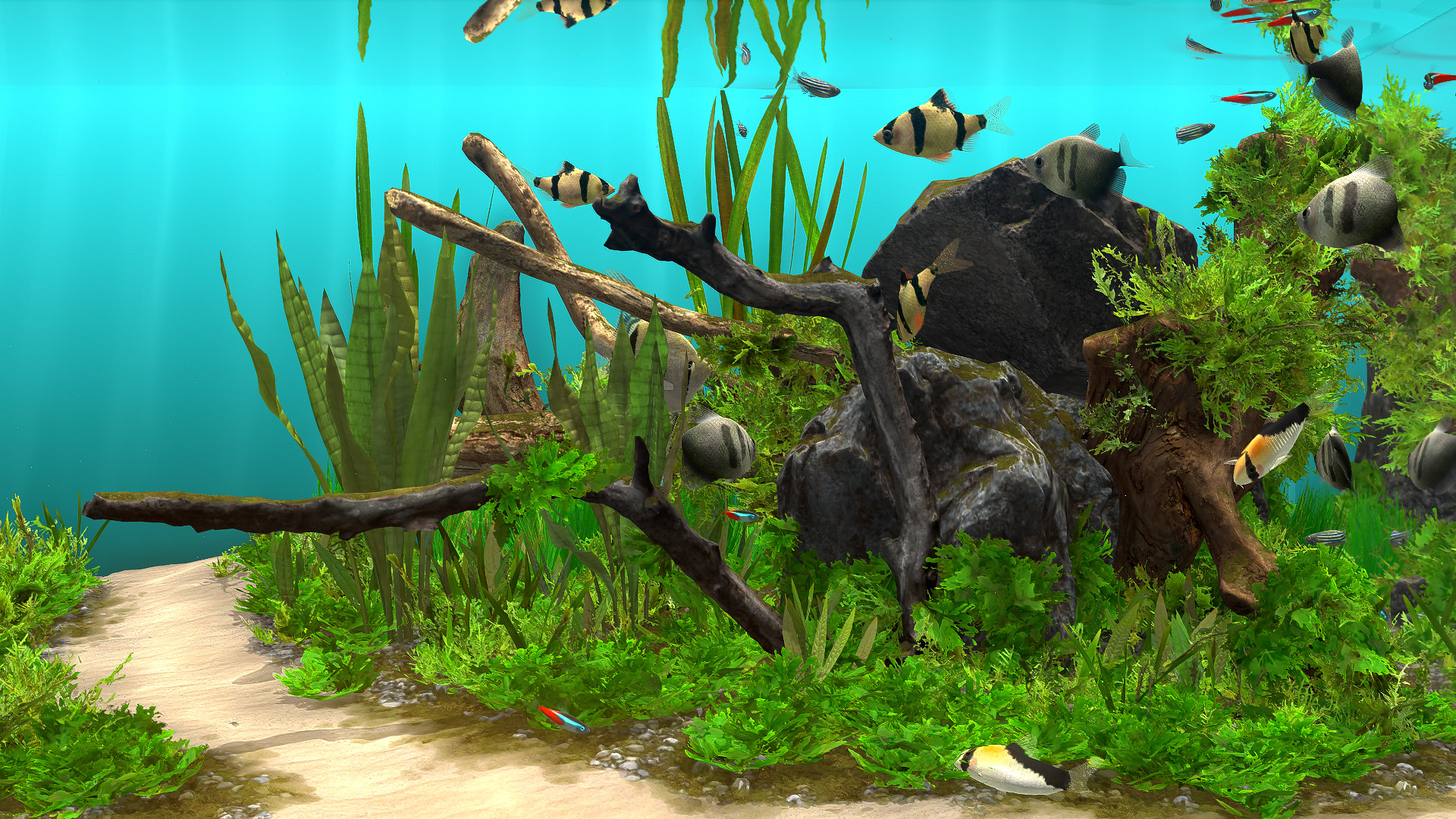 Steam で 10 オフ Behind Glass Aquarium Simulator