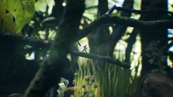 Скриншот из Big Earth